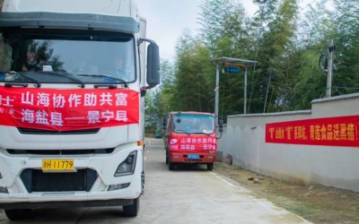 懷抱熱愛(ài)、奔赴山海~ 膳博士黑豬“遠(yuǎn)嫁”景寧鄭坑助共富！